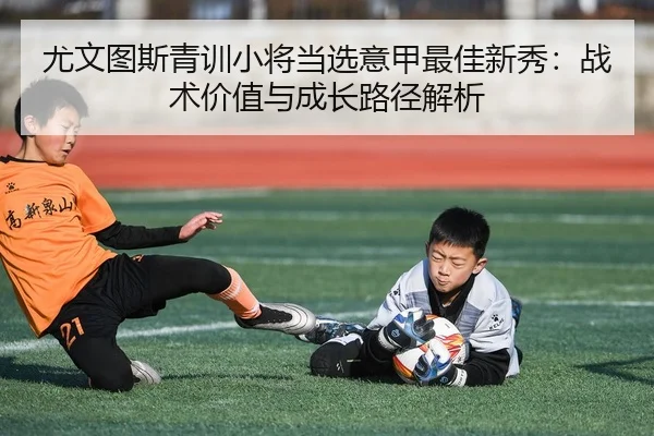 you-wen-tu-si-qing-xun-xiao-jiang-dang-xuan-yi-jia-zui-jia-xin-xiu-zhan-shu-jia-zhi-yu-cheng-zhang-lu-jing-jie-xi-2-335.jpg